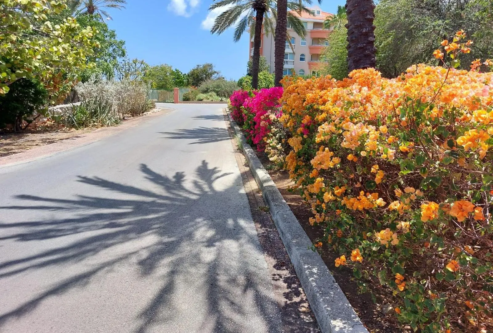 Dorp Sint Michiel Piscadera Bay Resort #16 0*,  קוראסאו